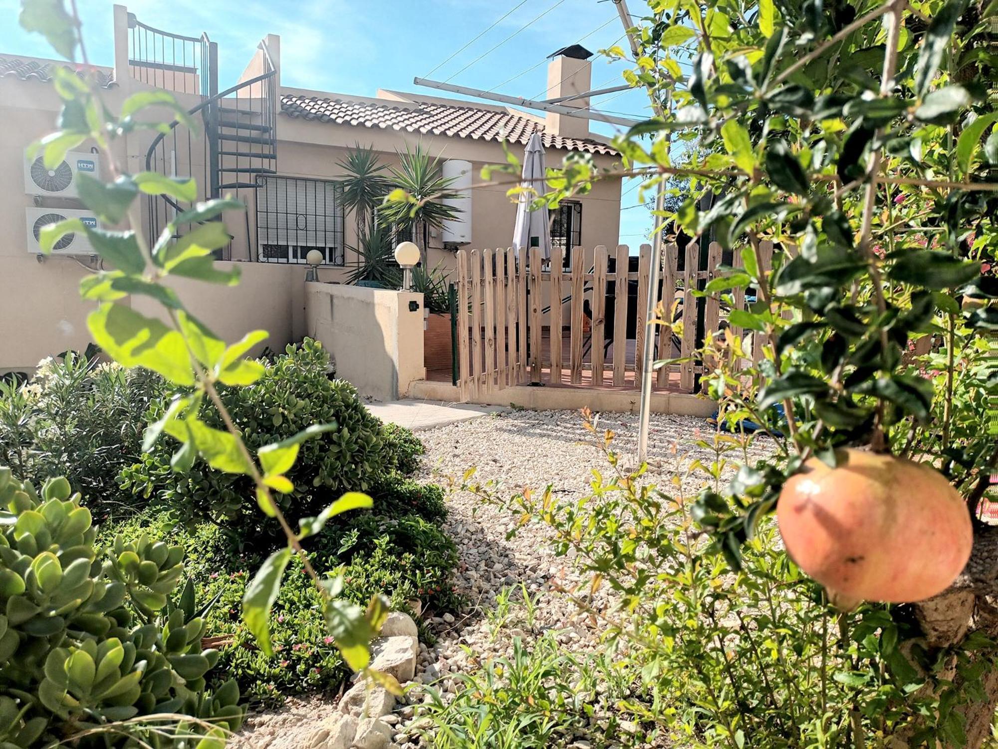 Guesthouse En Coveta Fuma- El Campello Exteriör bild