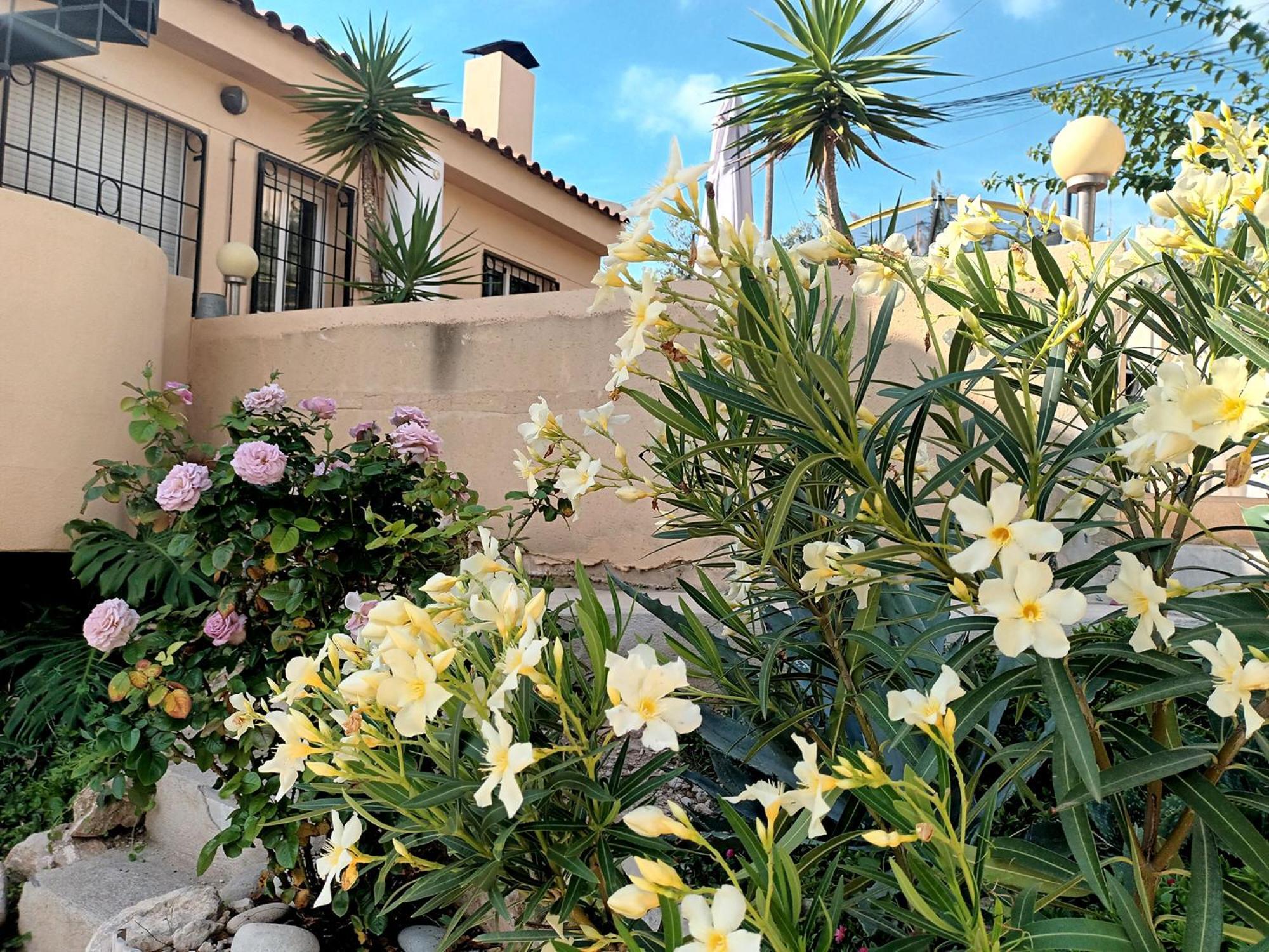 Guesthouse En Coveta Fuma- El Campello Exteriör bild